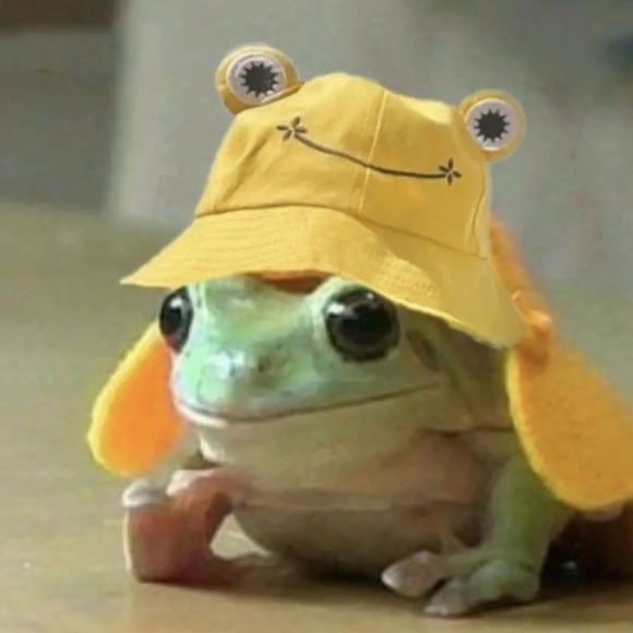 cozmeezo